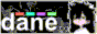 https://dane.gg